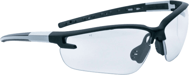 Delta Plus Deltaplus FUJI 2 Eyewear