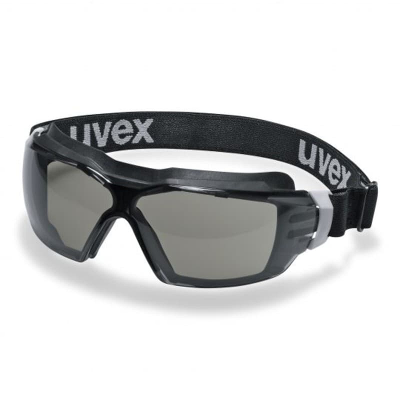 Uvex Uvex Pheos CX2 Sonic Anti-Glare Polycarbonate Goggles 9309286